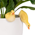 2PC DUCKLINGS POT SITTERS