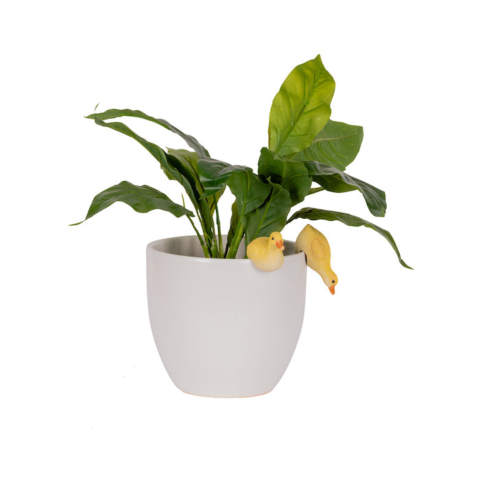 2PC DUCKLINGS POT SITTERS