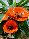 3PC SET AMBER ORANGE METAL GARDEN POPPIES