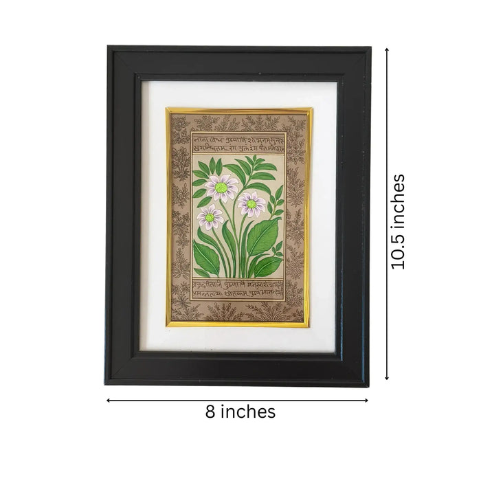 A Botanical Study in Miniature - The White-Flowered Plant   Paintings