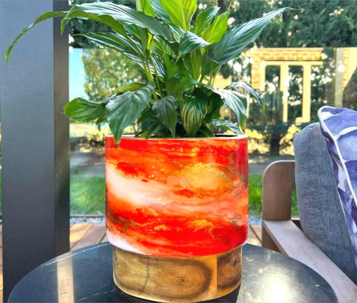 ARTISAN DESIGNED - MADAGASCAR ORANGE PLANTER TIMBER BASE
