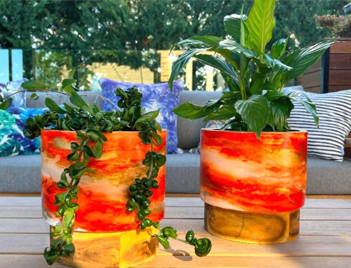 ARTISAN DESIGNED - MADAGASCAR ORANGE PLANTER TIMBER BASE