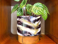 ARTISAN DESIGNED - WONDER GALACTIC - TIMBER BASE - BLACK & WHITE