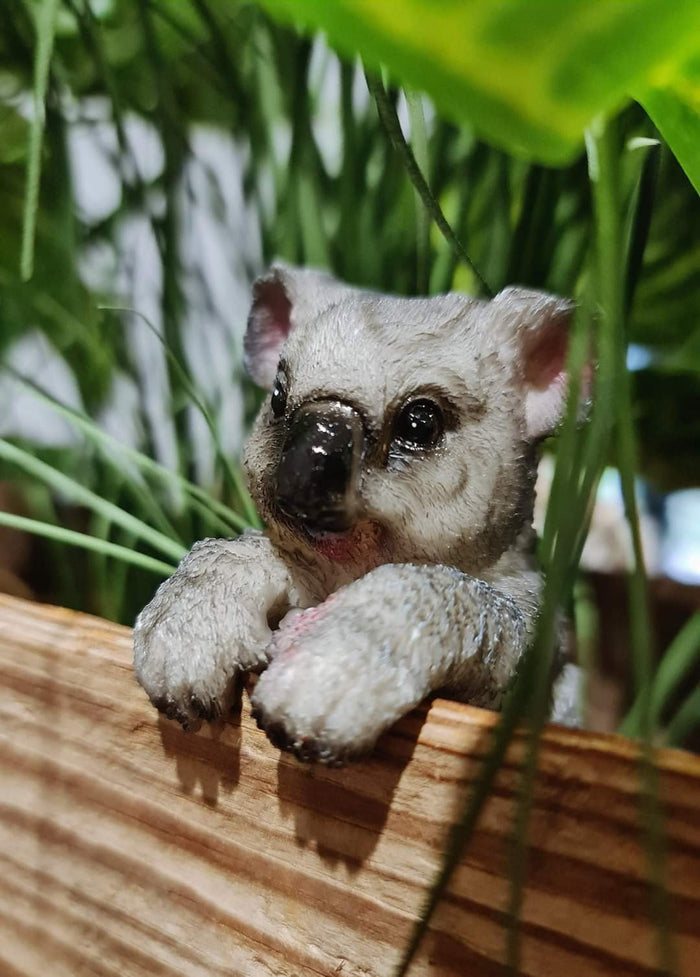 AUSSIE ANIMAL POT SITTER - KOALA