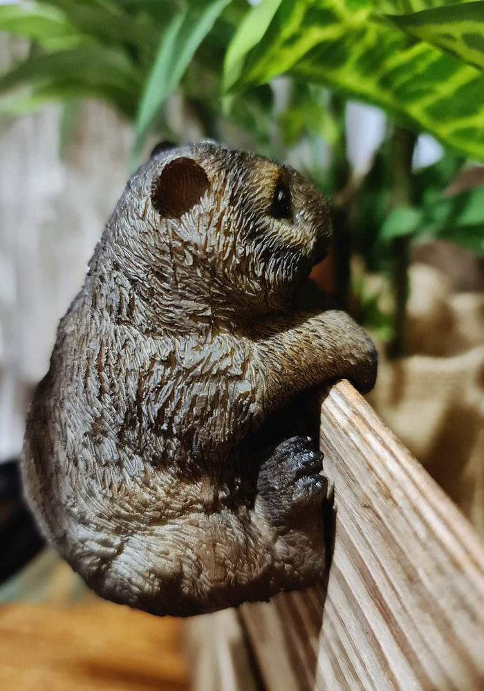 AUSSIE ANIMAL POT SITTER - WOMBAT