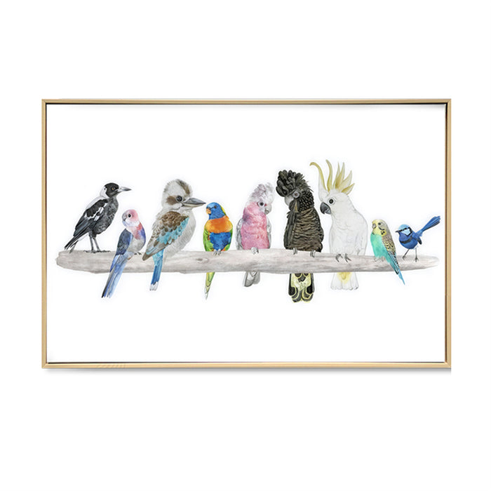 AUSSIE BIRD FRIENDS ON CANVAS FRAMED WALL DECOR