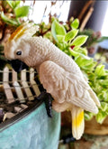 AUSSIE BIRD POT SITTER - COCKATOO