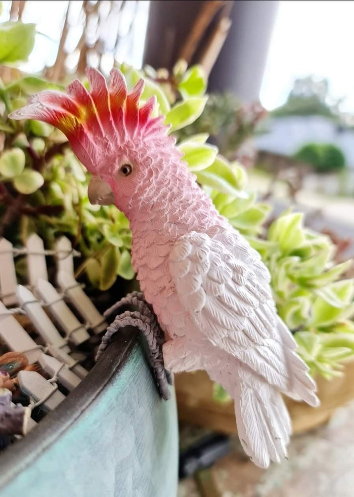 AUSSIE BIRD POT SITTER - MAJOR MITCHELL