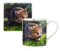 BABIES OF THE BUSH - WOMBAT - MUG & COASTER