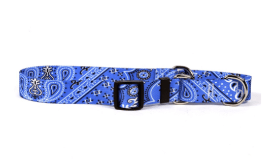 Bandana Blue Martingale Collar