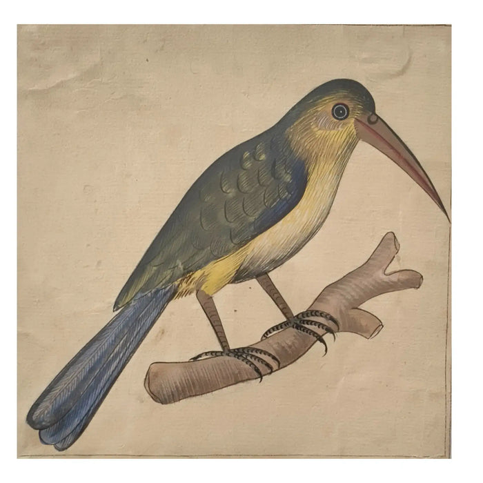 Bird of the Royal Court Miniature Painting   Paintings