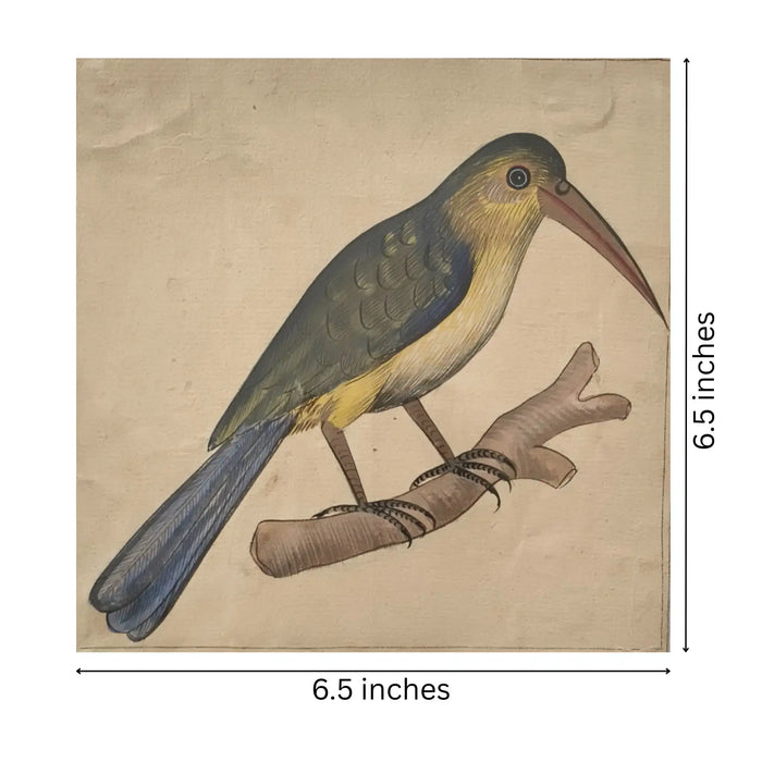 Bird of the Royal Court Miniature Painting   Paintings