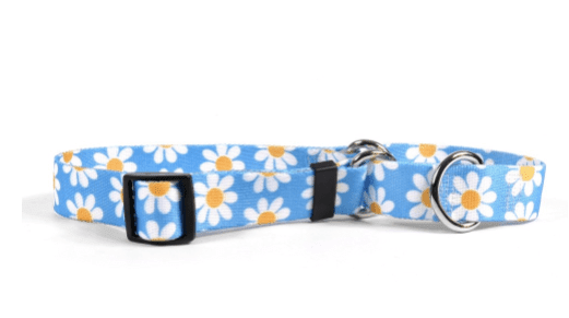 Blue Daisy Martingale Collar