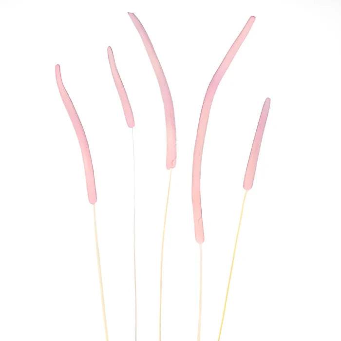 Blush Dried Timothy Grass