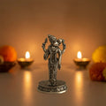 Brass Idol of Lord Varaha Avatar: Vishnu's Boar Incarnation   Brass Ware