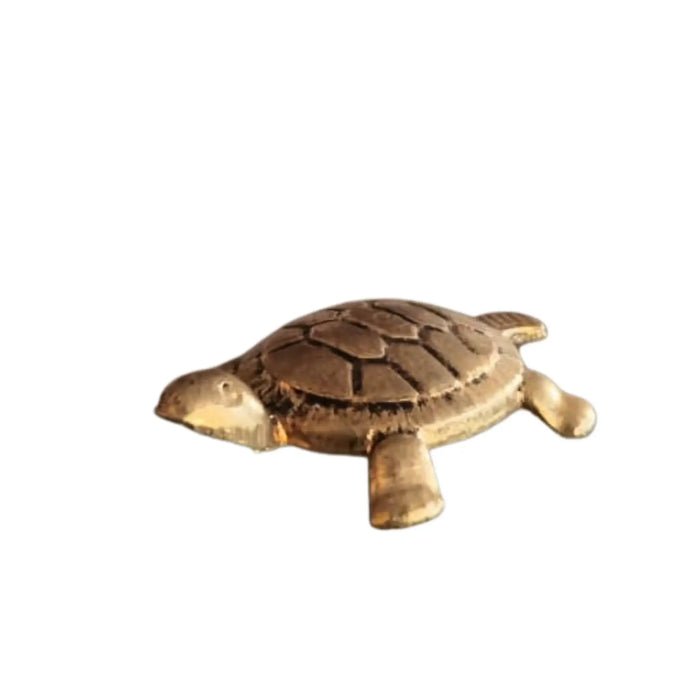 Arts&Crafts decorative brass tortoise sculpture on a plain background.