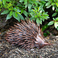 BRONZE METALIC METAL GARDEN ECHIDNA
