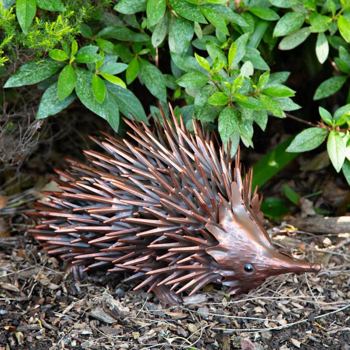 BRONZE METALIC METAL GARDEN ECHIDNA