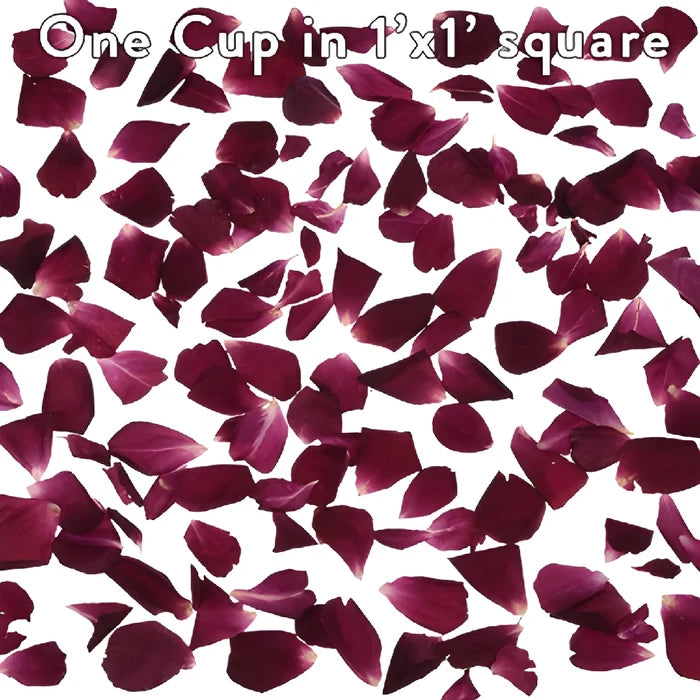 Alluring Beauty Dried Rose Petals