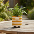 BUZZING YELLOW BEE PLANTER