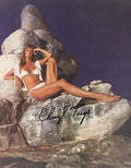 Cat. #005023:  CHERYL TIEGS