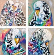 Colourful Budgies 4pc Coaster set - Artist Lab