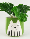 CUTE CAT PLANTER - GREEN 14CM