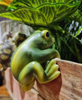 CUTE CREATURES POT SITTER - FROG