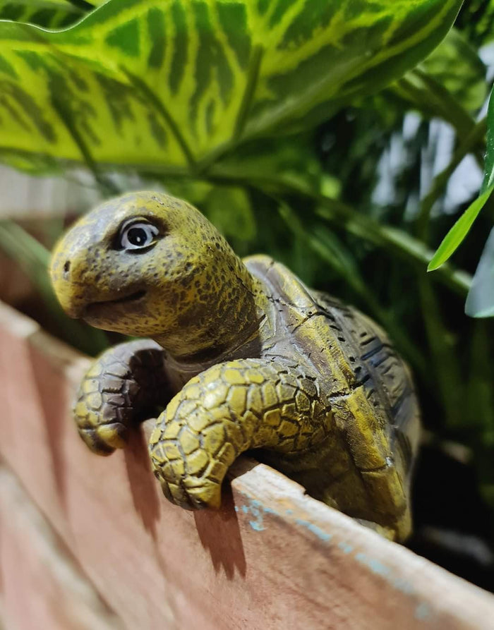CUTE CREATURES POT SITTER - TURTLE