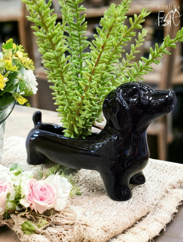 DACHSHUND DOG POT - BLACK