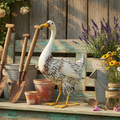 DAISY THE DUCK