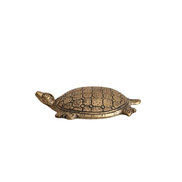 Decorative brass tortoise showpiece crafted from gleaming brass metal.