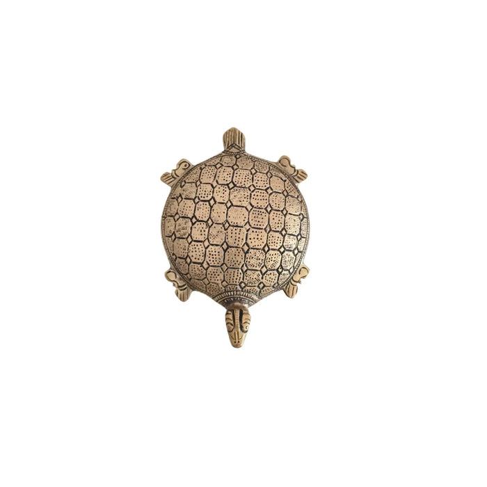 Decorative brass tortoise showpiece, detailed and shiny.