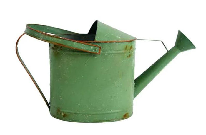 DISTRESSED GREEN FRESH FLOWER WATERING CAN