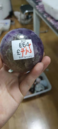 E64