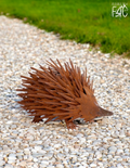 ECHO THE RUSTY ECHIDNA