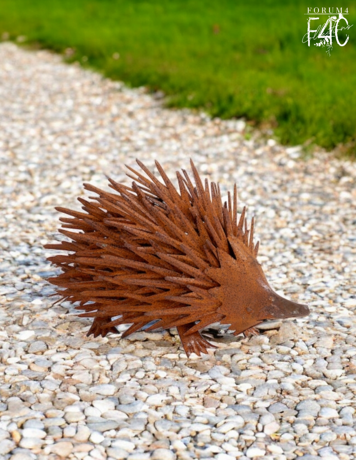 ECHO THE RUSTY ECHIDNA