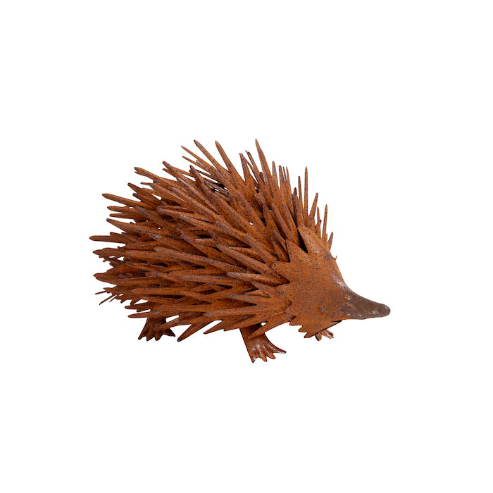 ECHO THE RUSTY ECHIDNA