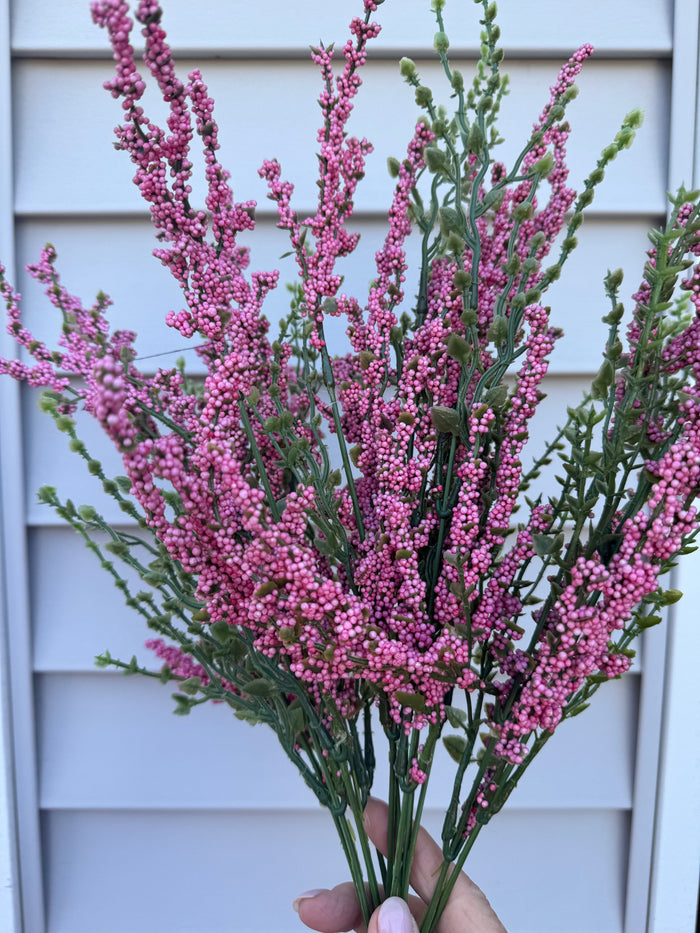 Erica Bush Pink - #876 PK