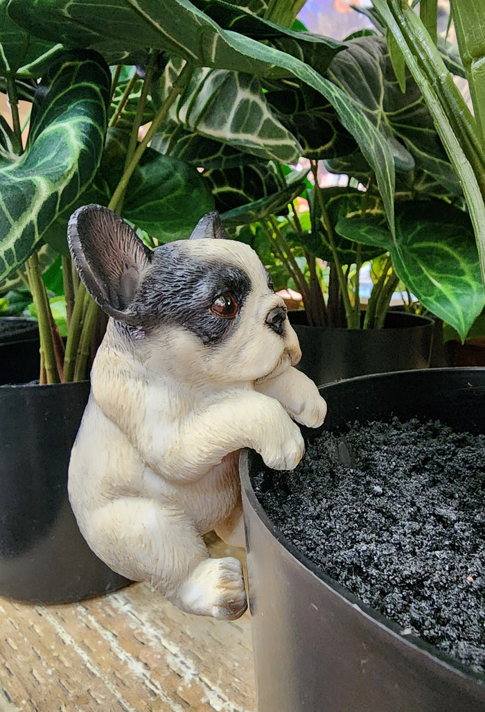 FRENCHIE DOGS RESIN POT SITTERS
