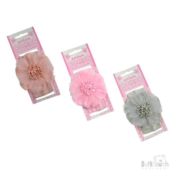 Girls Dusty Headband W/Organza Flower -4HB93
