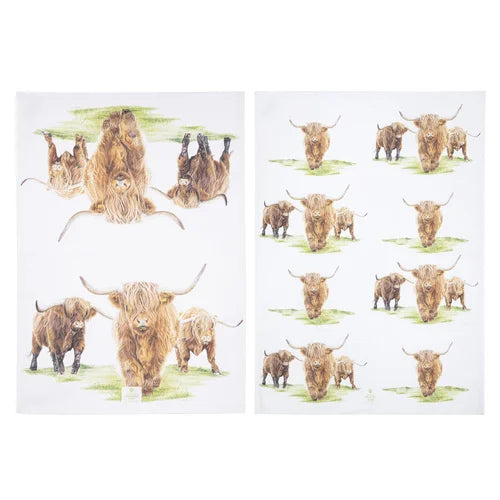 HIGHLAND HERD COWS ARTIST 2PK KITCHEN TEA TOWEL SET
