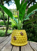 HONEY BEE POT