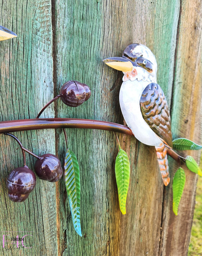 KOOKABURRA TRIO ON GUMTREE BRANCH