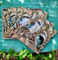 Kookaburras & Banksias 4pc Hard Back Placemat Set - Artist Lab
