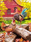 LARGE MR & MRS DERBY CHICKEN PAIR - METAL GARDEN DECOR