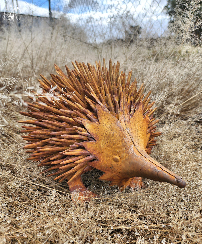 LARGE RUST METAL ECHIDNA