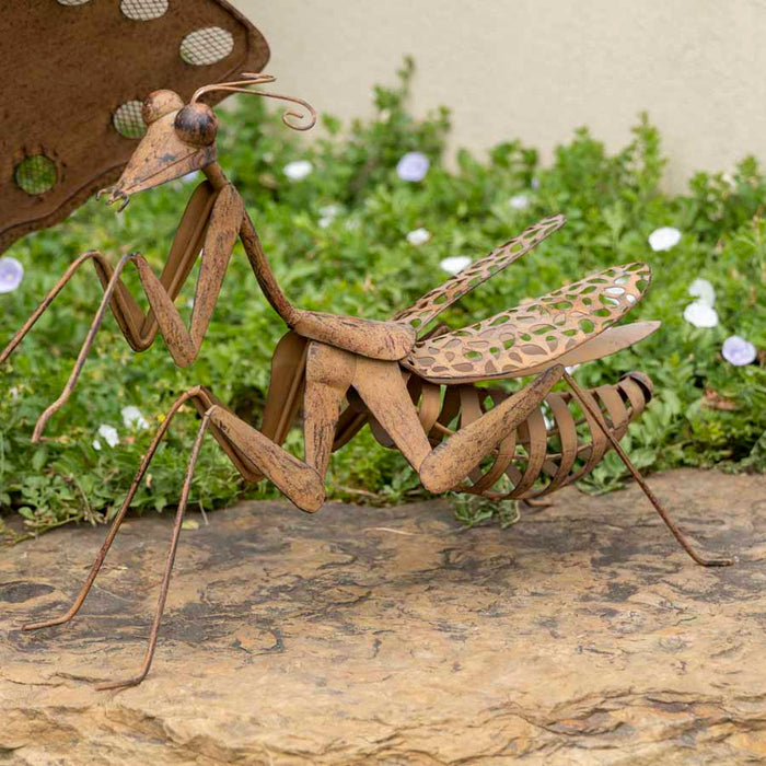 LARGE RUSTIC LUCKY PRAYING MANTIS