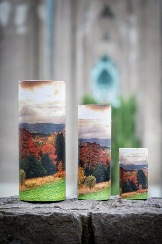 Large/Adult 200 Cubic Inch Autumn Trees Scattering Tube Cremation Urn for Ashes
