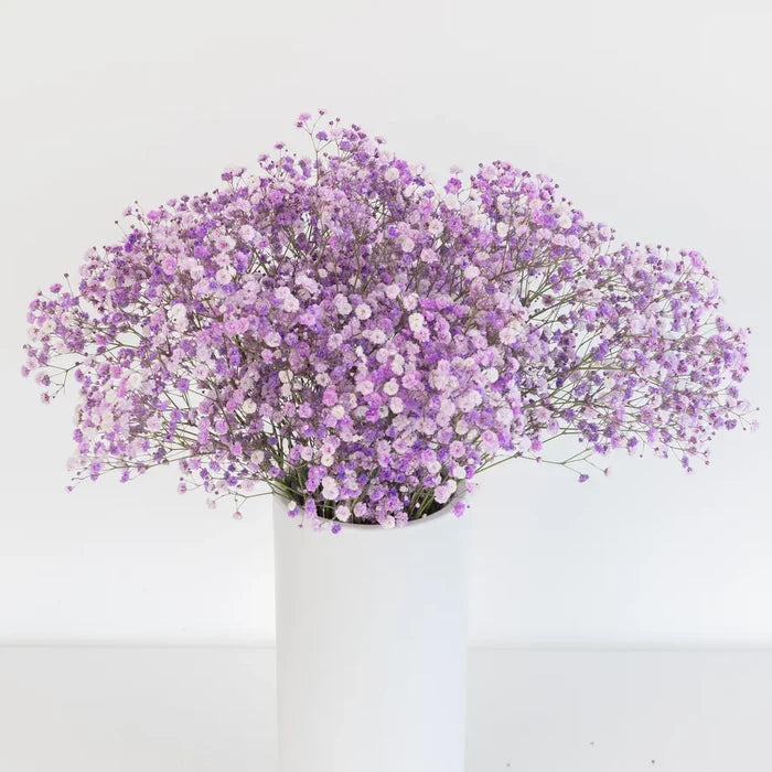 Lavender Airbrushed Baby's Breath Flower Vase - Image